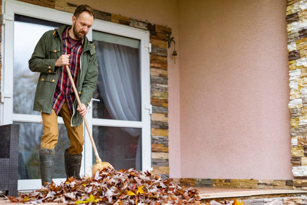 Best Construction Debris Removal  in Chatham, IL