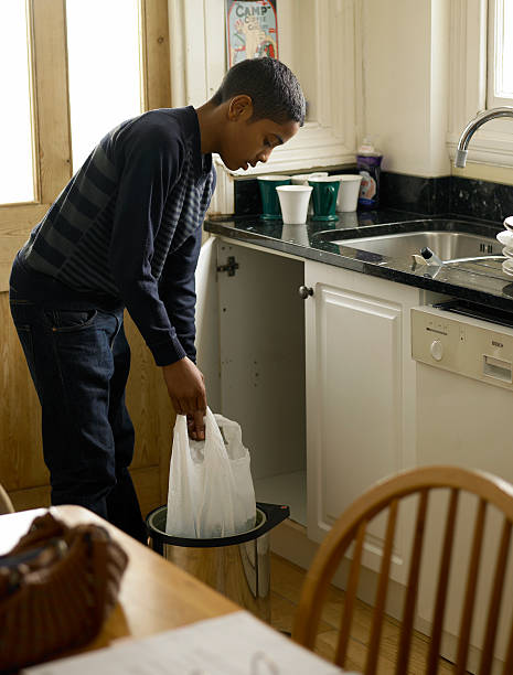 Best Junk Hauling Services  in Chatham, IL